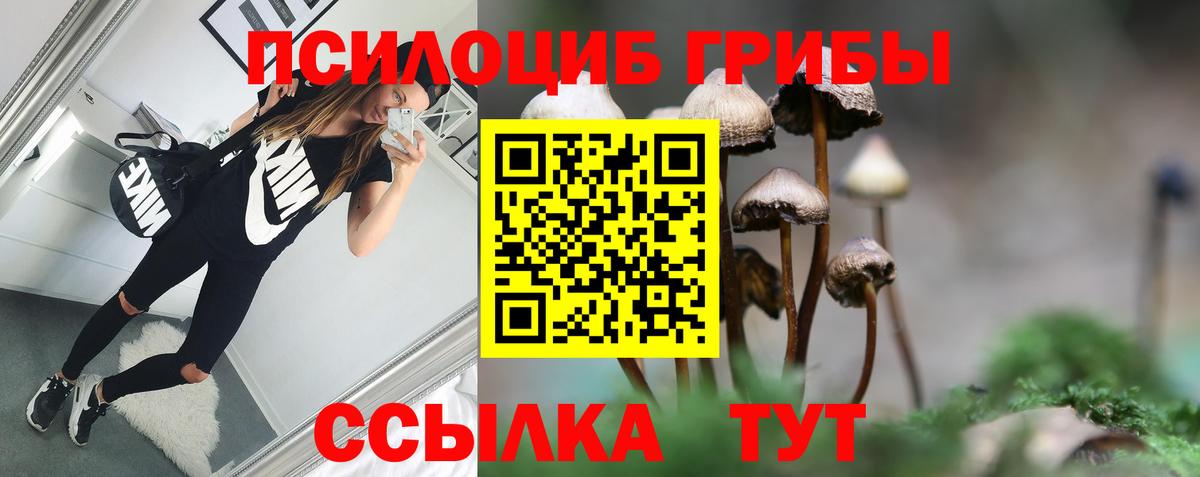 Псилоцибиновые грибы прущие грибы  Вход с VPN  Псилоцибиновые грибы мицелий  Дальнереченск 